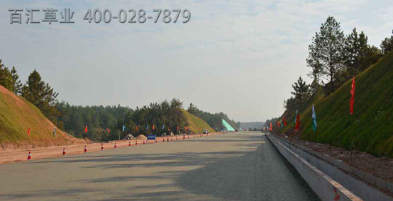 綠化護(hù)坡草籽價(jià)格 綠化護(hù)坡草籽價(jià)格